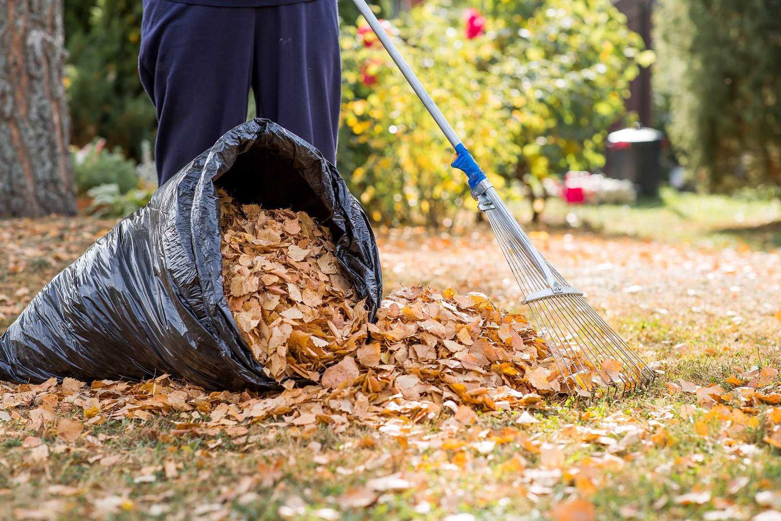 Seasonal garden cleanup